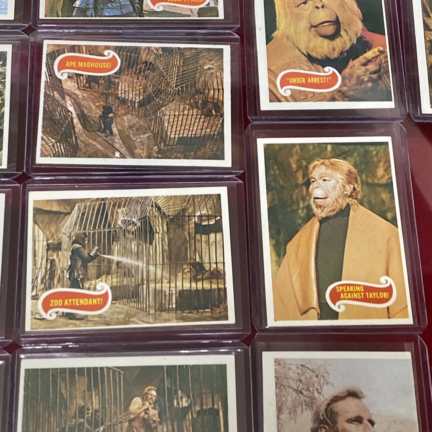 43 VTG. 1967 Planet Of The Apes Trading Cards (Sleeved & Top-Loaded) GREEN BACK!