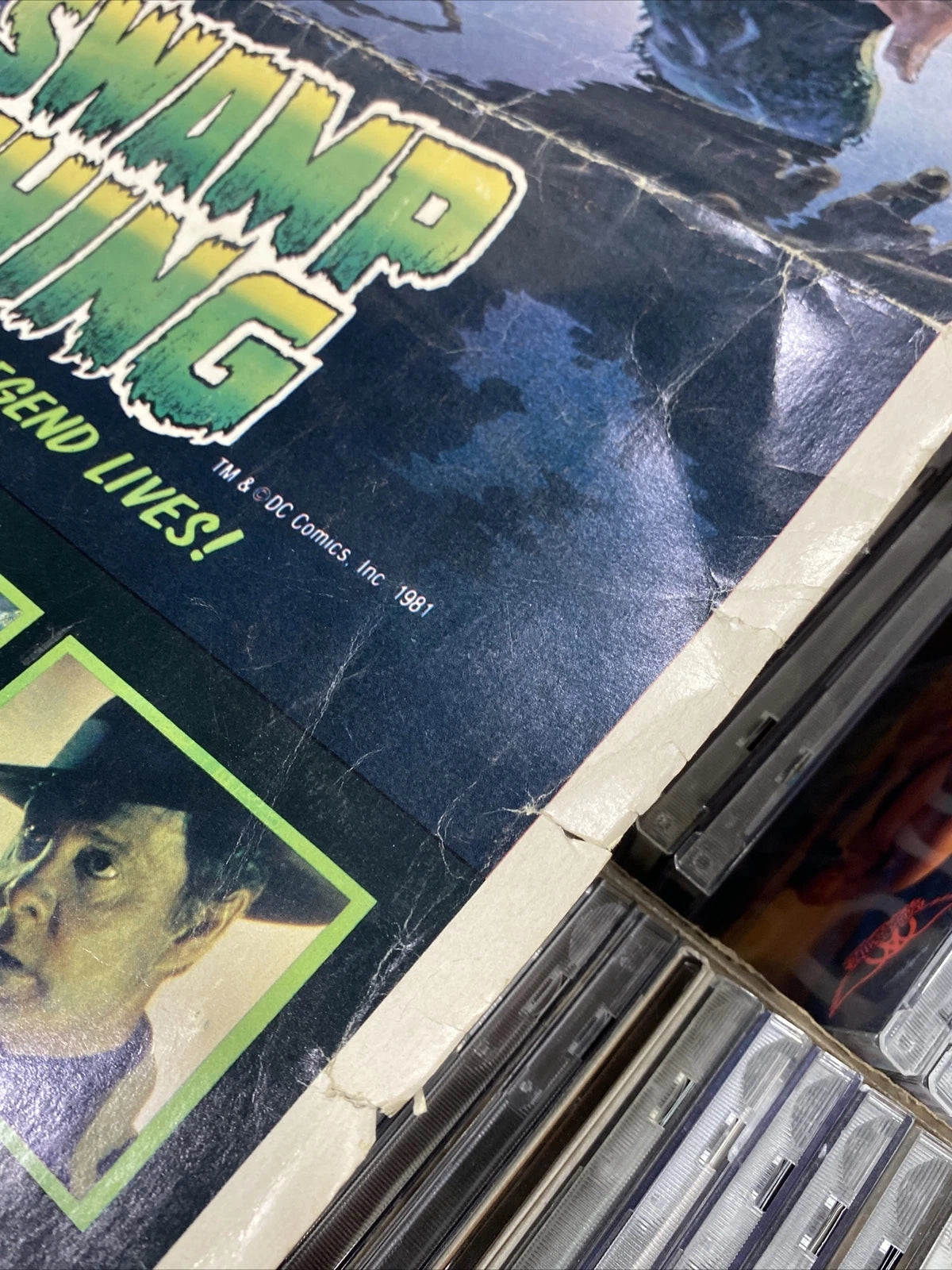 The Swamp Thing Original Adrienne Barbeau Insert Movie Poster