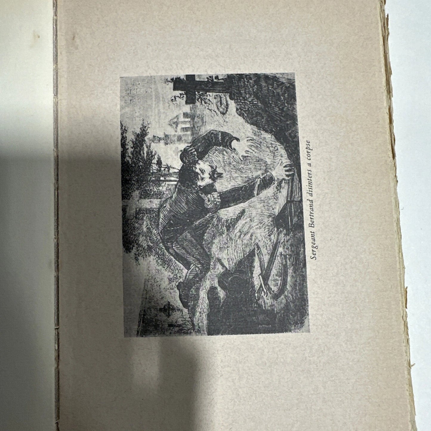 Anthropological, Legal, and Medical Studies on Pederasty in Europe RARE BOOK