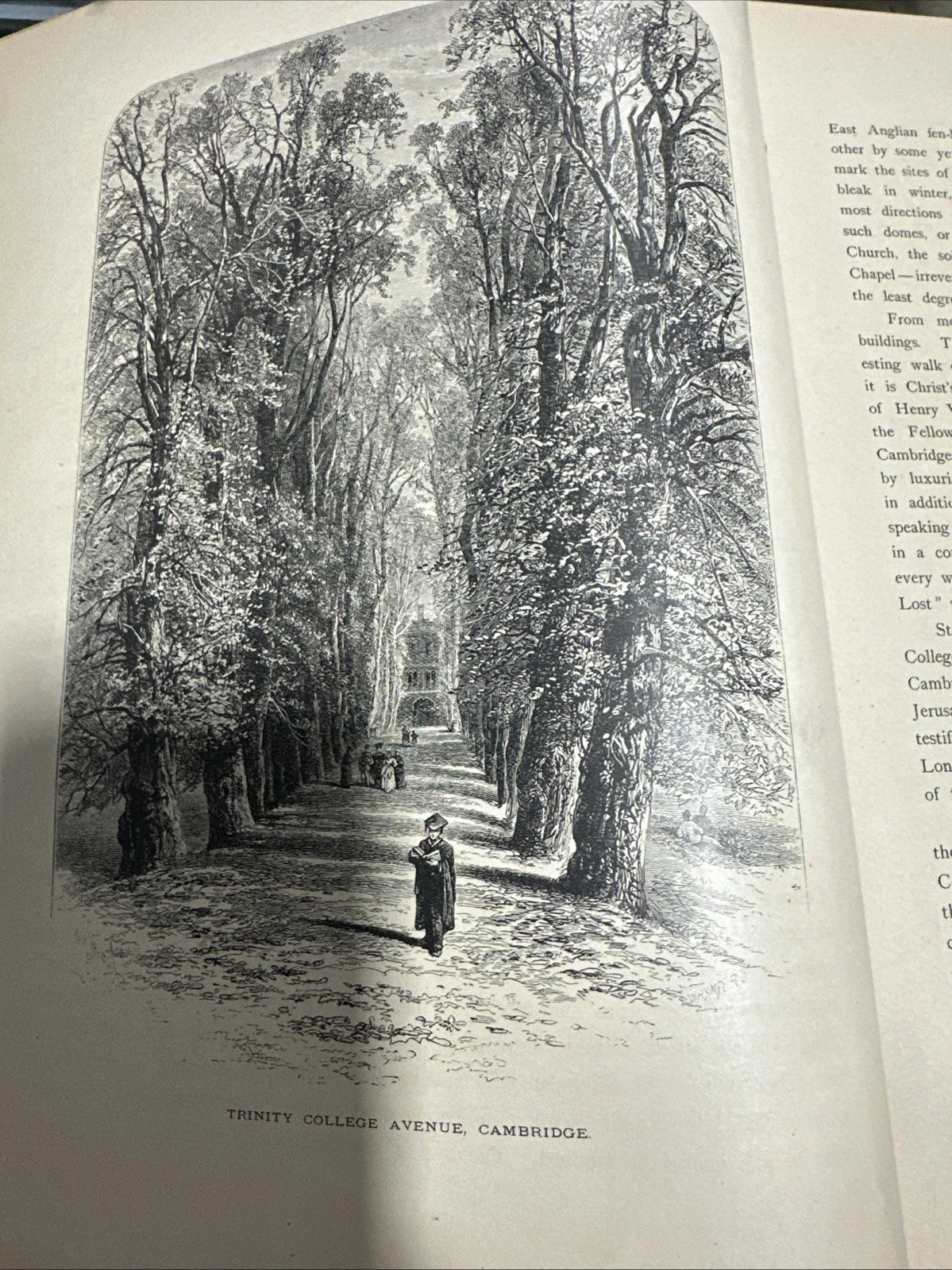 Picturesque Europe leather cover 1878 vol. 2