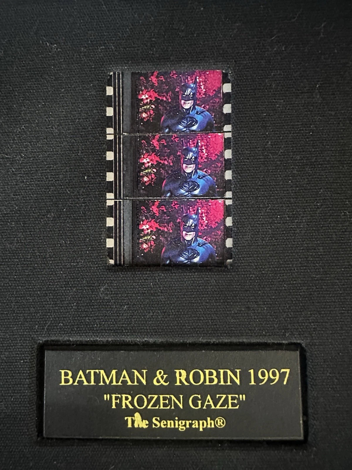 Batman & Robin (1997) "Frozen Gaze" Framed Senitype Film Print & 35mm Film Cell
