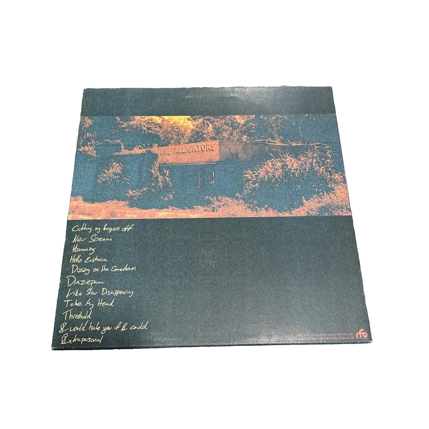 Turnover Peripheral Vision Vinyl Magenta Color Limited Edition /4000