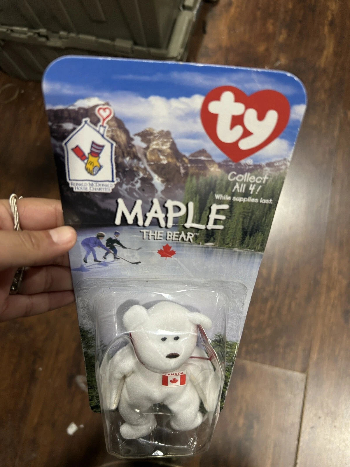 MAPLE The Bear Rare Ty Beanie Baby
