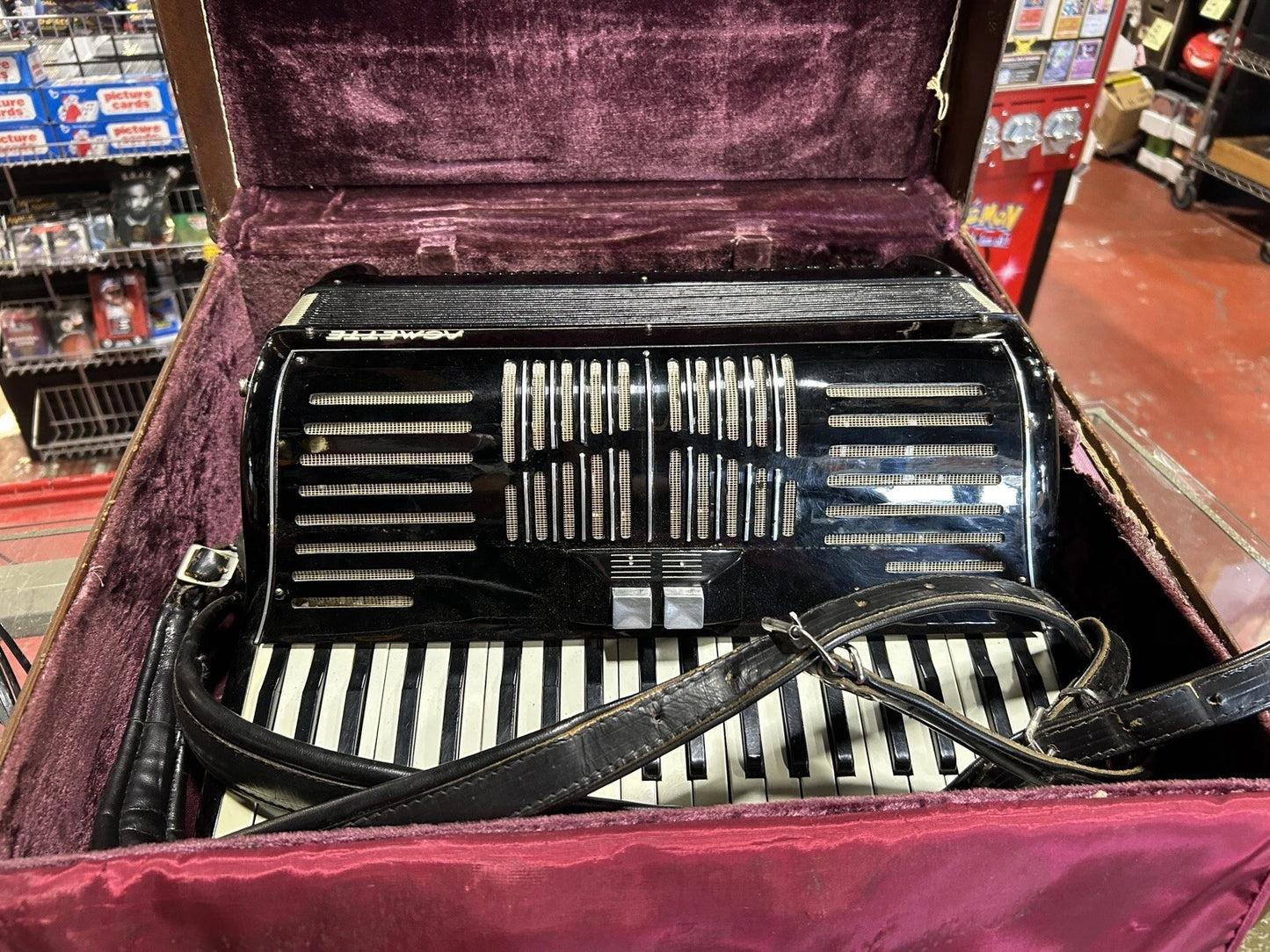 Acmette Accordian