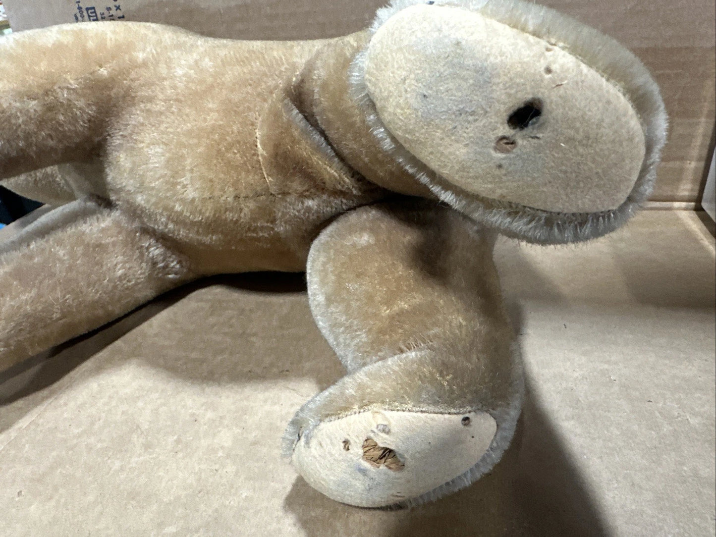 Steiff 1930s? Polar Bear Vintage No Tags