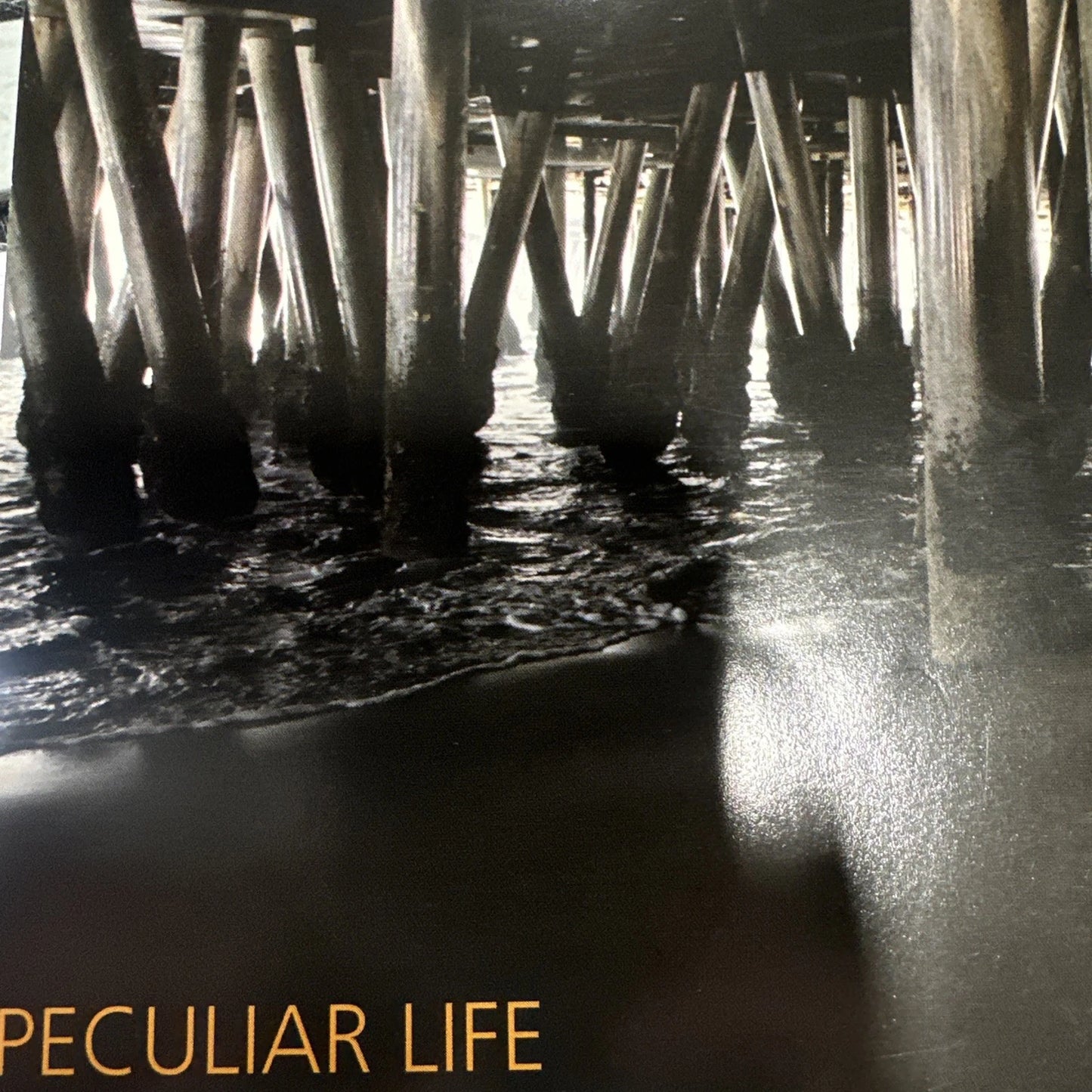 Richard Page - Peculiar Life - CD - VG++