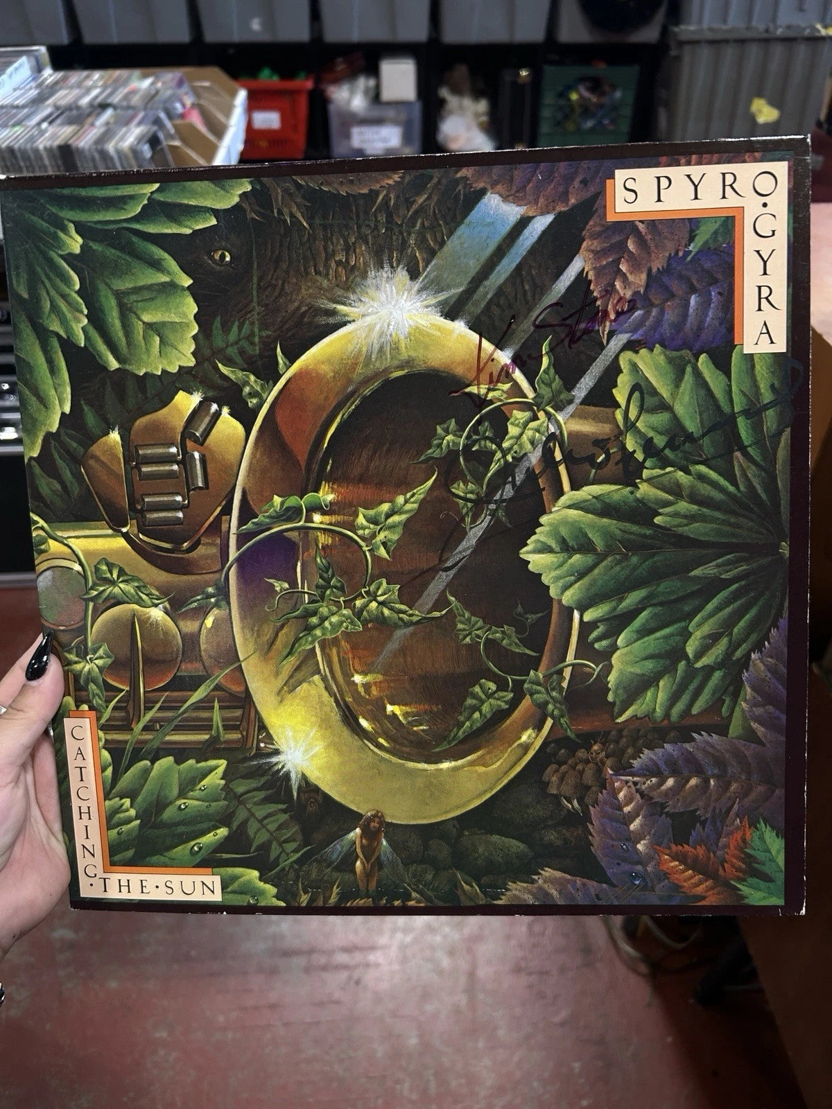 Spyro Gyra "Catching the Sun" 1980 MCA Records LP Vinyl Studio Album (NM) Signed