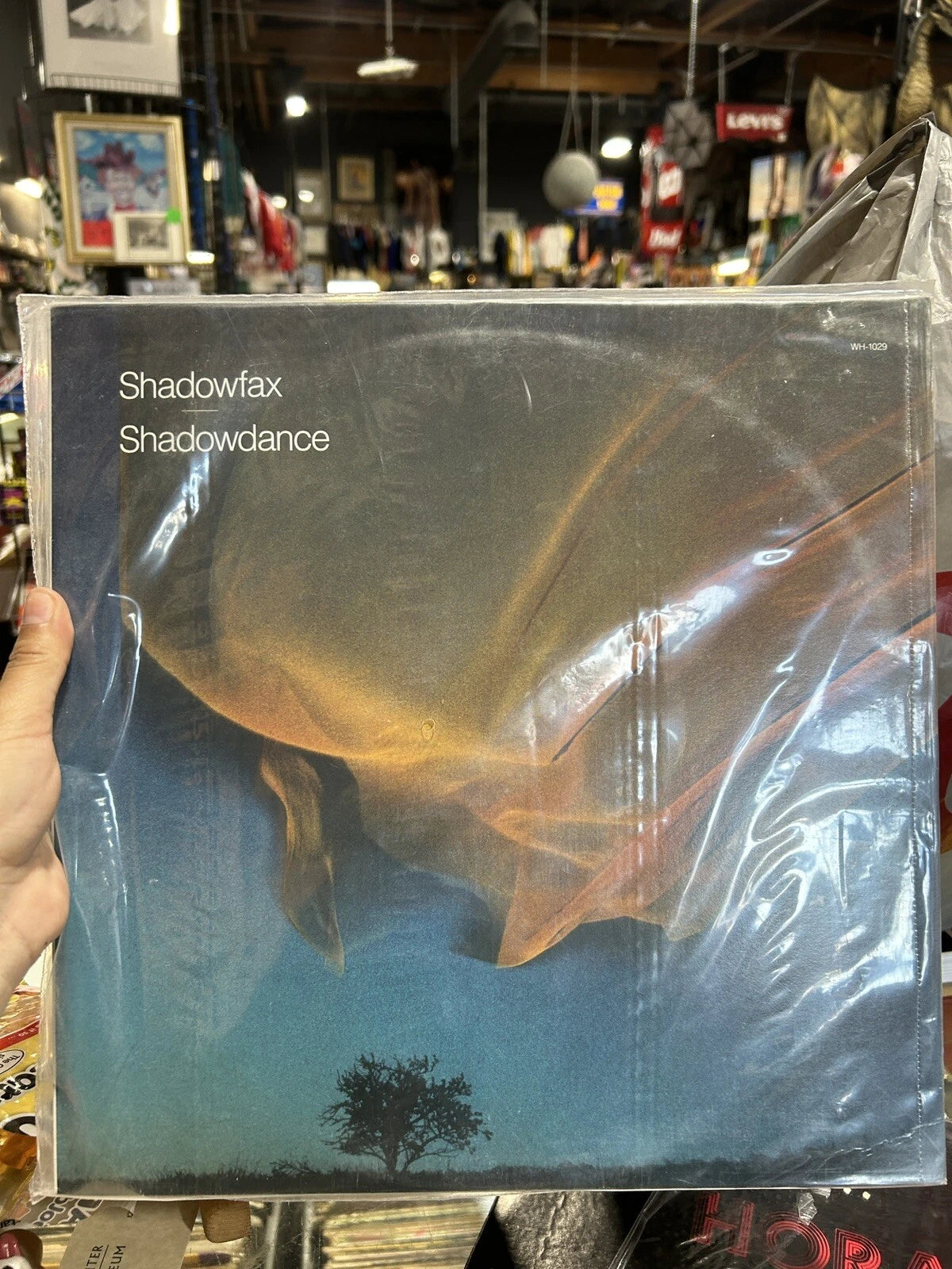SHADOWFAX SHADOW DANCE WINDHAM HILL WH1029 US VINYL LP sealed new