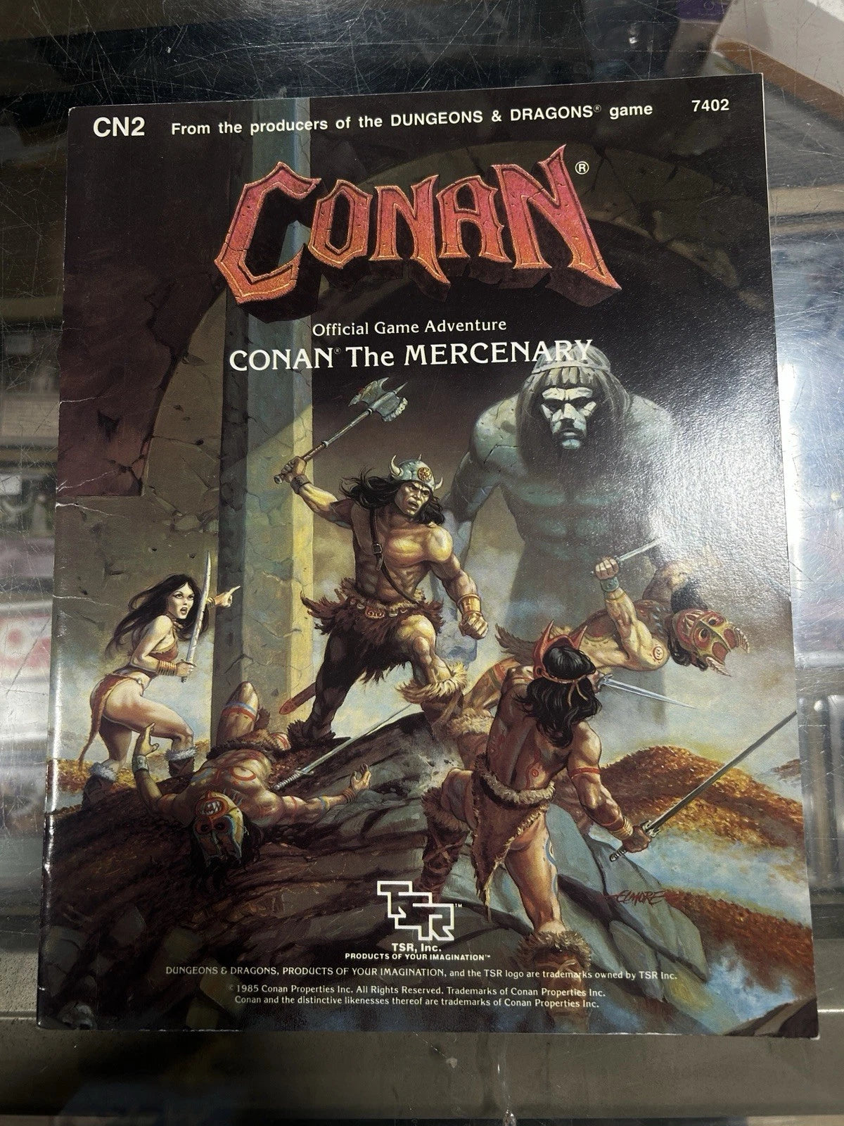 Conan The Mercenary CN2 1985 Dungeons Dragons Kim Eastland TSR 7402 Barbaria
