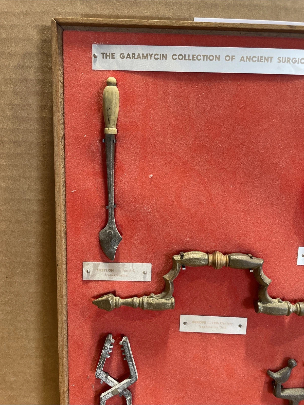 Garamycin Collection of Ancient Surgical Instruments Reproduction