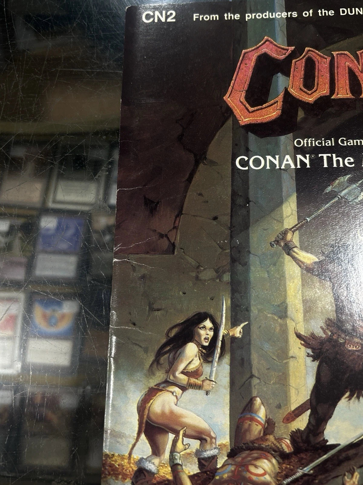 Conan The Mercenary CN2 1985 Dungeons Dragons Kim Eastland TSR 7402 Barbaria
