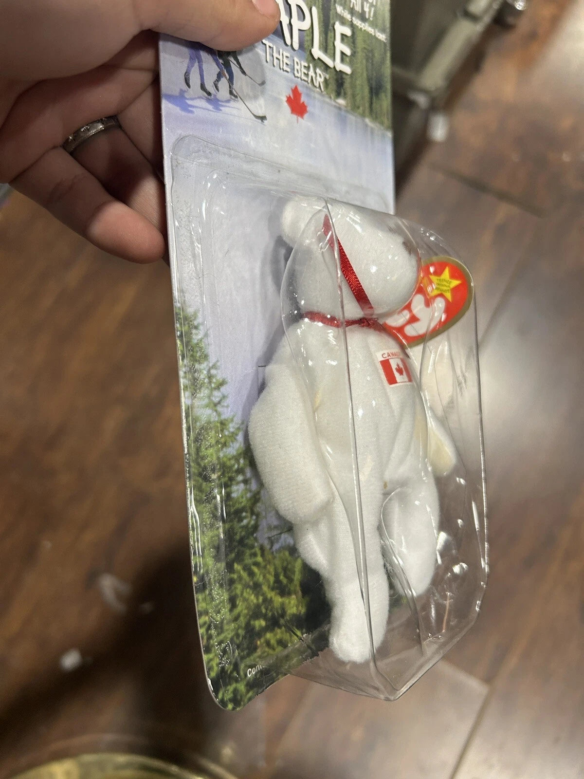 MAPLE The Bear Rare Ty Beanie Baby