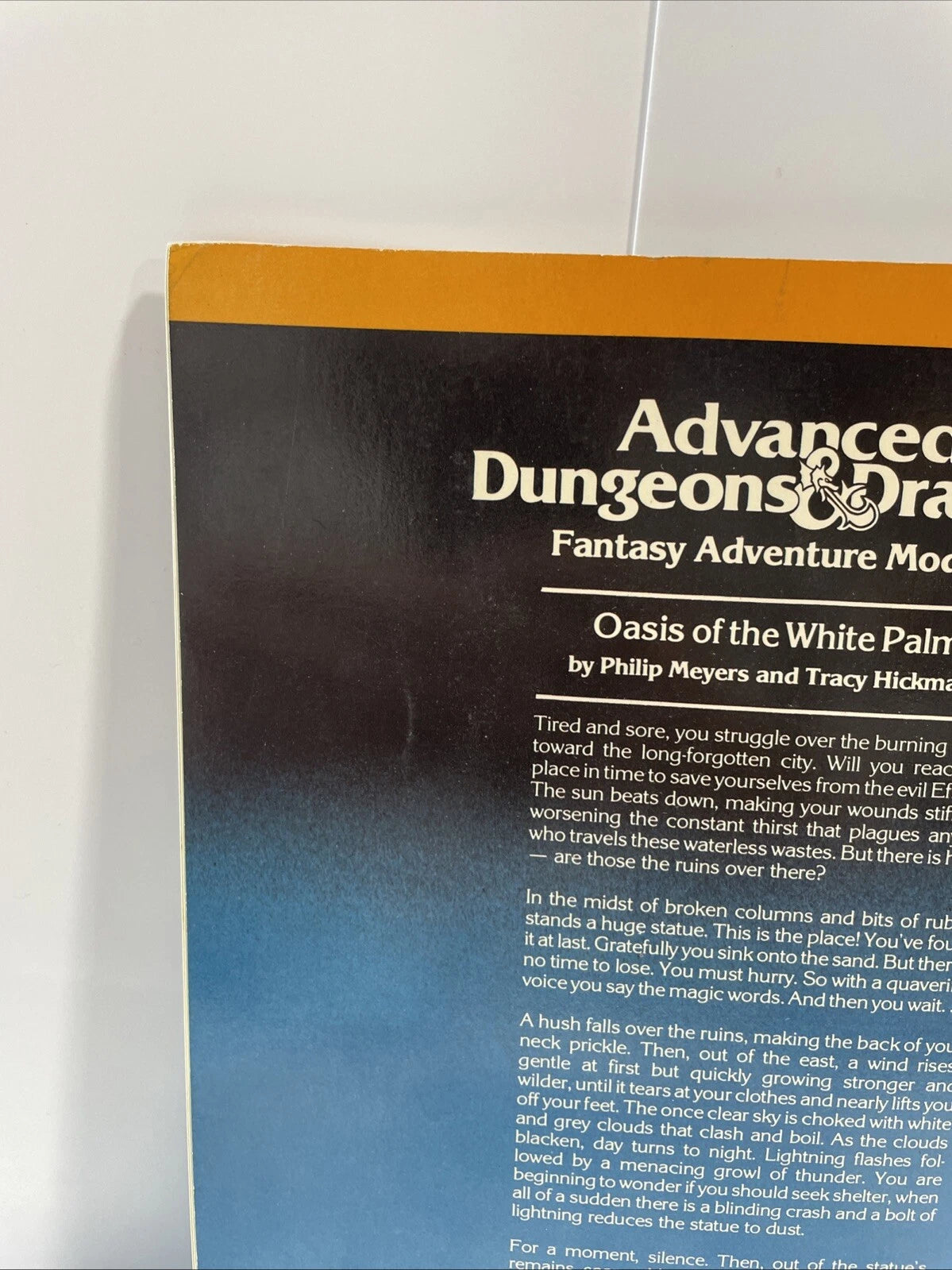 Advanced Dungeons & Dragons: Module I4 Oasis of White Palm 9053- TSR 1983 - RARE