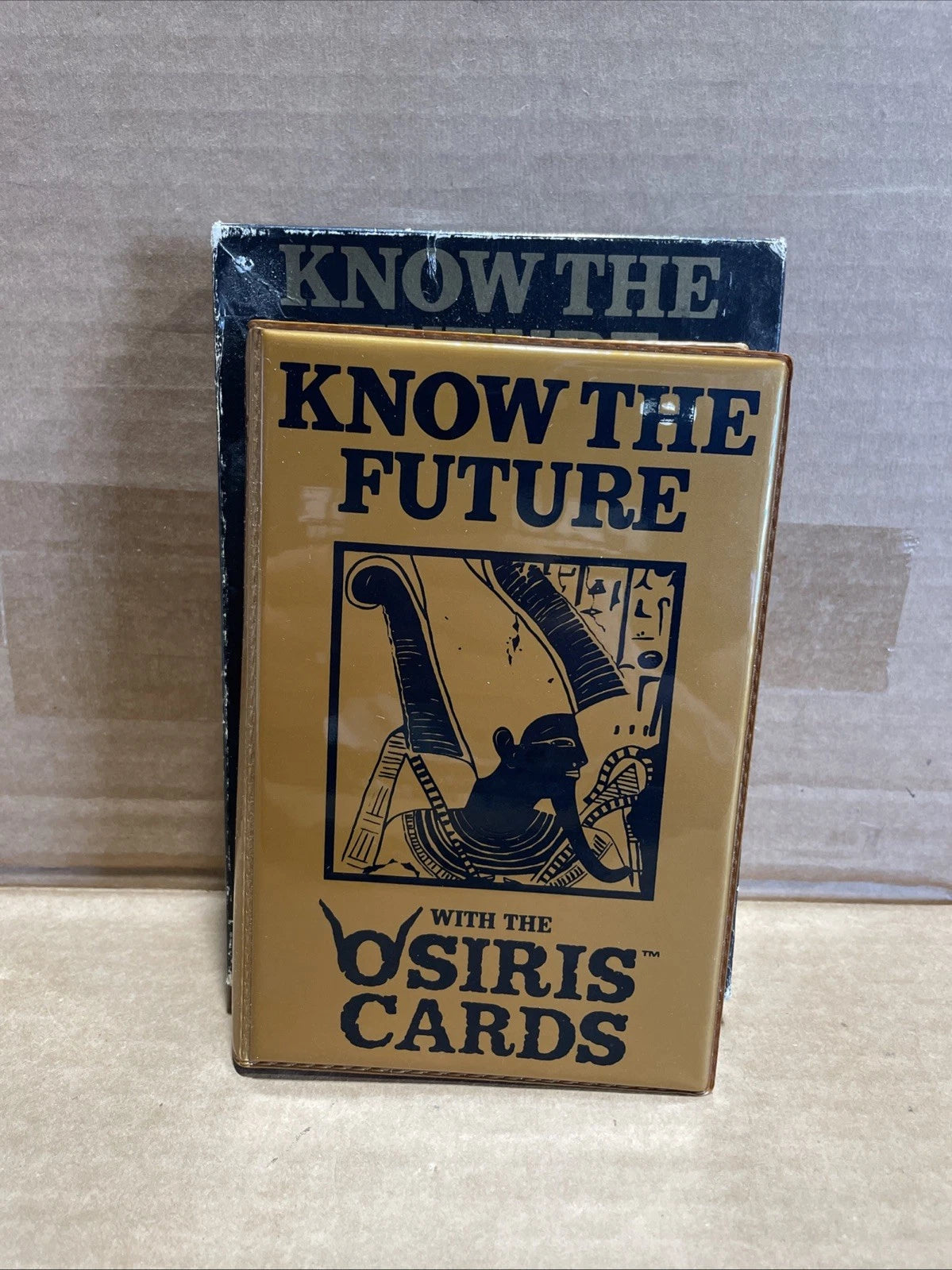 1980s Osiris Egyptian Oracle Fortune Telling Cards Bev Craig Vintage Rare