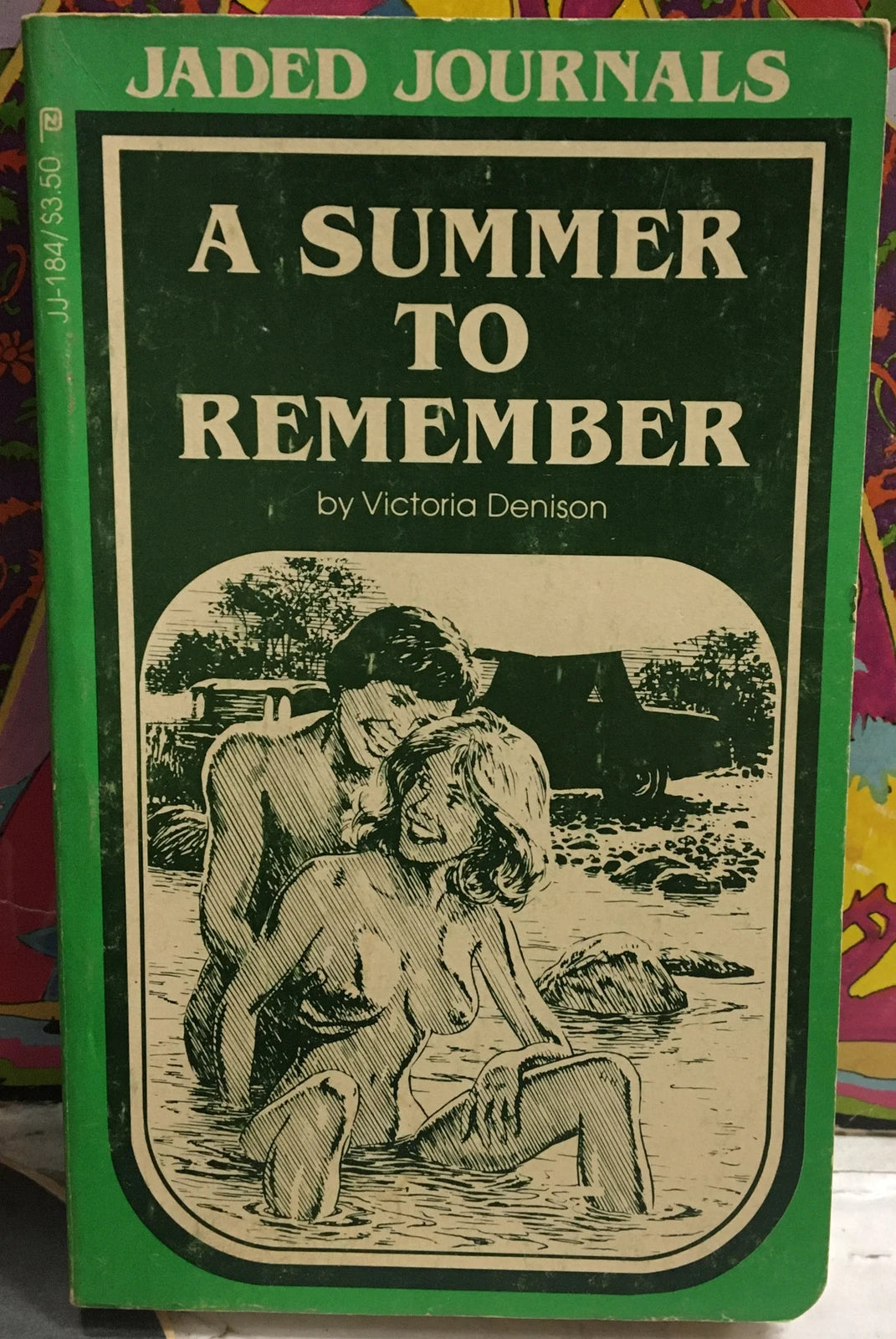 Victoria Denison A Summer To Remember Paperback Book