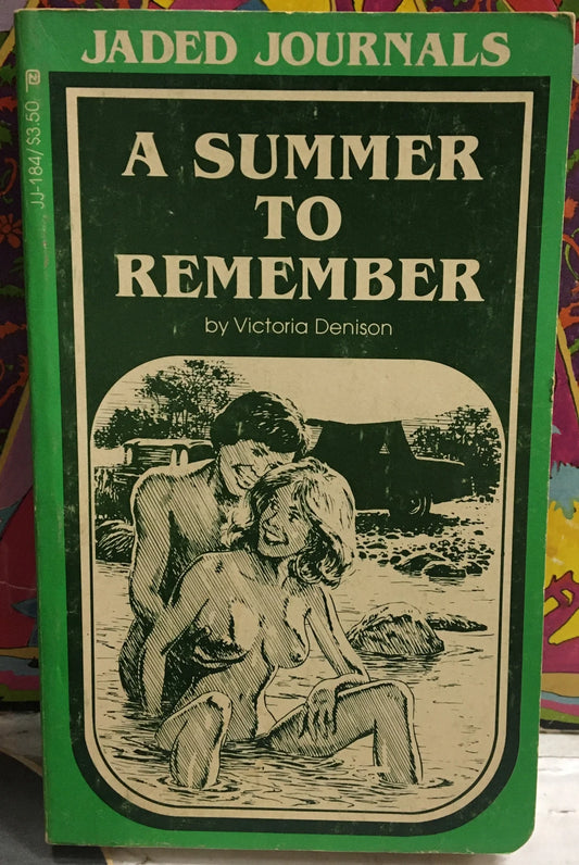 Victoria Denison A Summer To Remember Paperback Book
