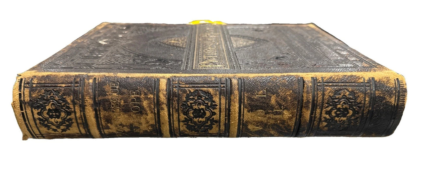 Picturesque Europe leather cover 1878 vol. 2