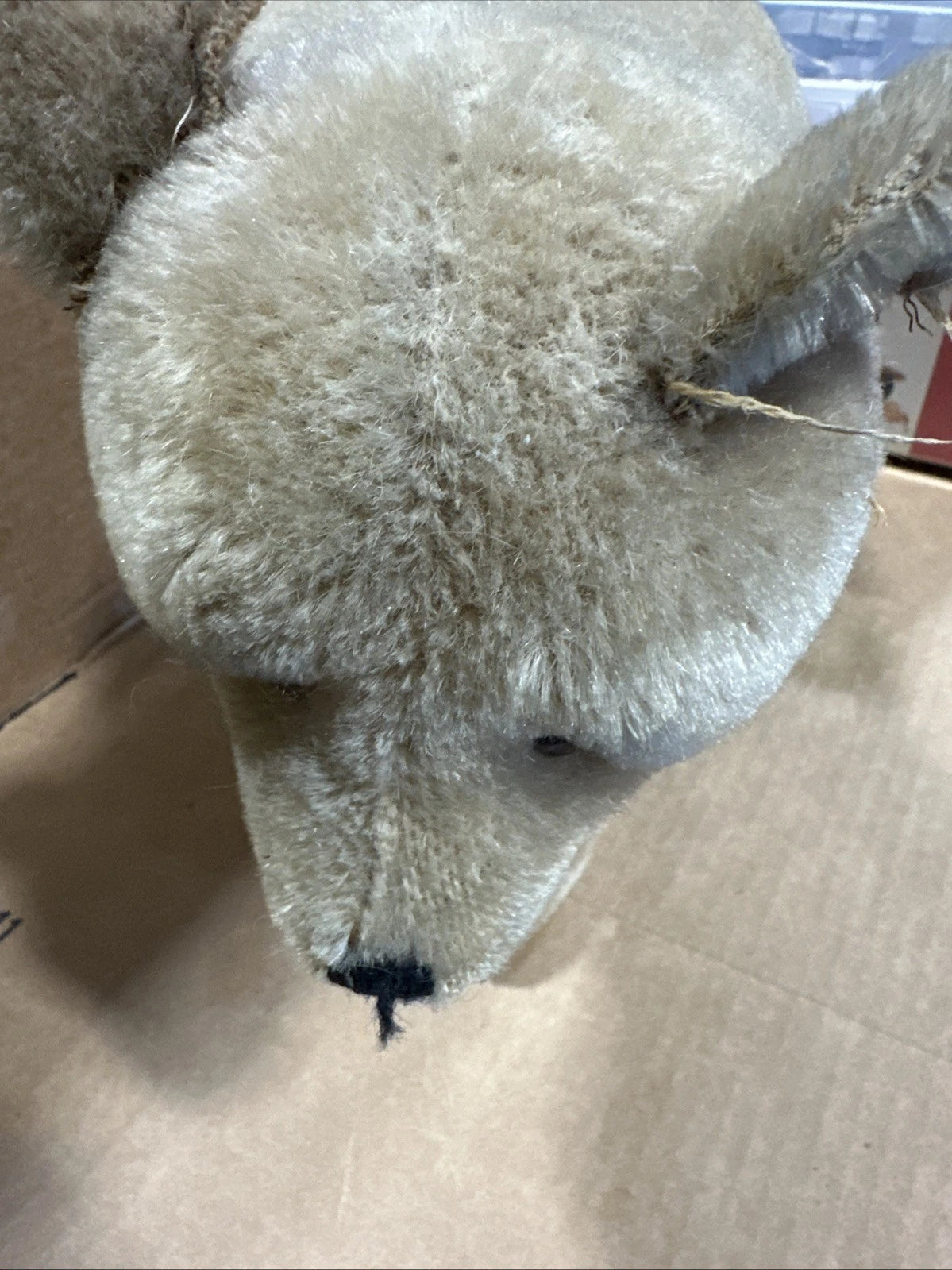 Steiff 1930s? Polar Bear Vintage No Tags