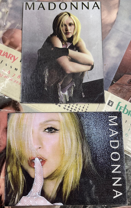 Madonna Magnets (2)
