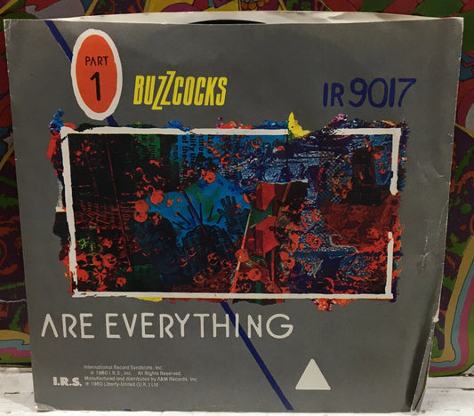 Buzzcocks Are Everything/Why She’s A Girl From The Chain Store 7” Single IR9017