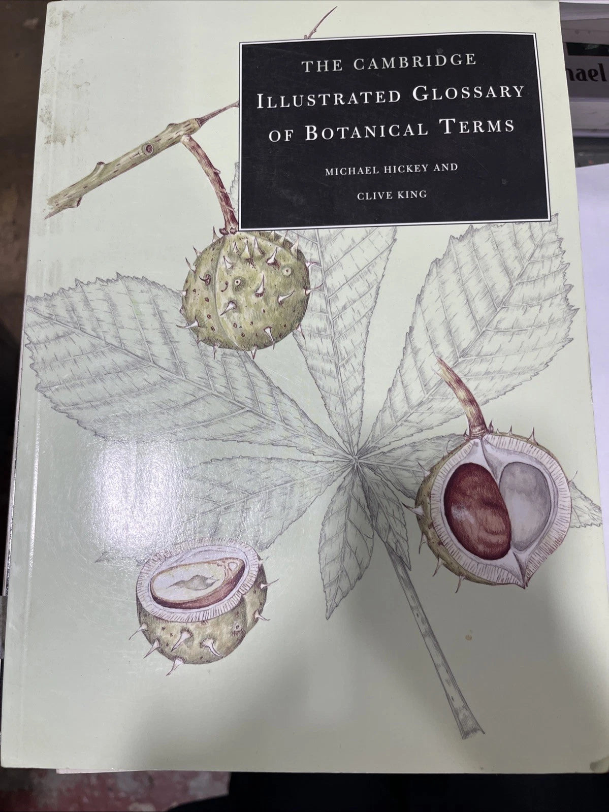 Cambridge Illustrated Glossary of Botanical Terms Michael Hickey Clive King FEB
