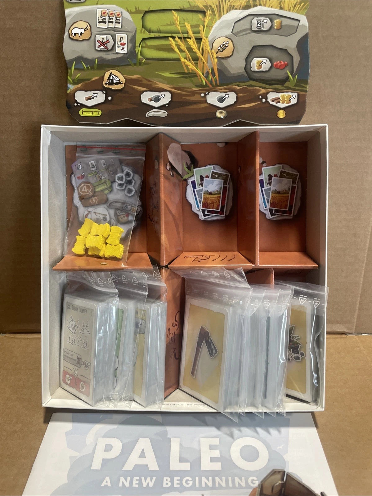 Z-Man Boardgame Paleo A New Beginning Box Expansion Complete
