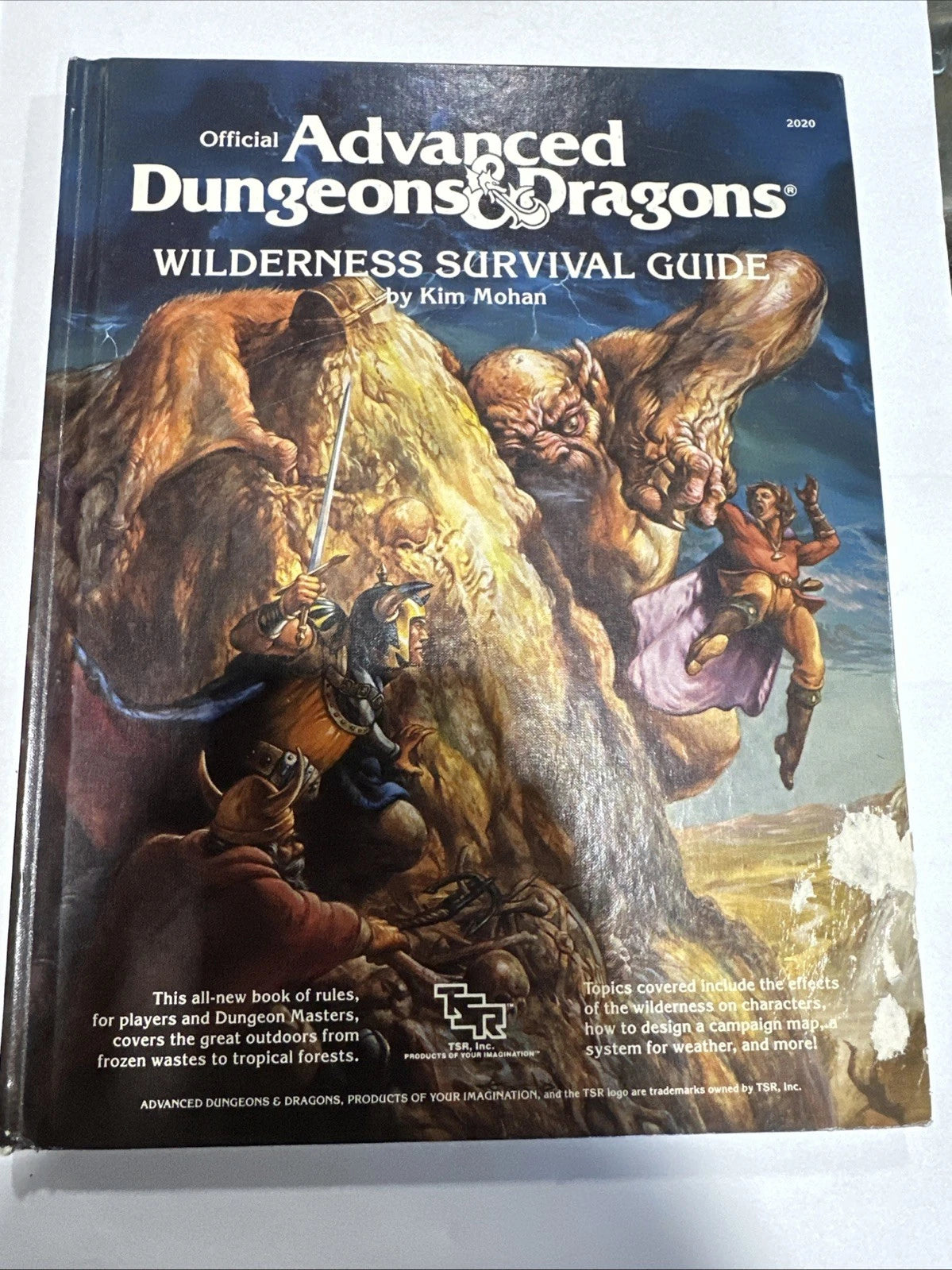 Dungeons & Dragons 1E: WILDERNESS SURVIVAL GUIDE by Kim Mohan (TSR, 1986, 1st)