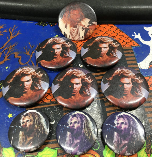 David Lee Roth Vintage Button Collection