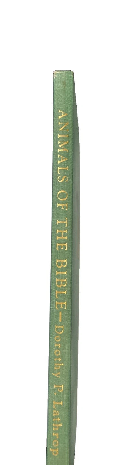 Dorothy P LATHROP / Animals of the Bible 1st Edition 1937