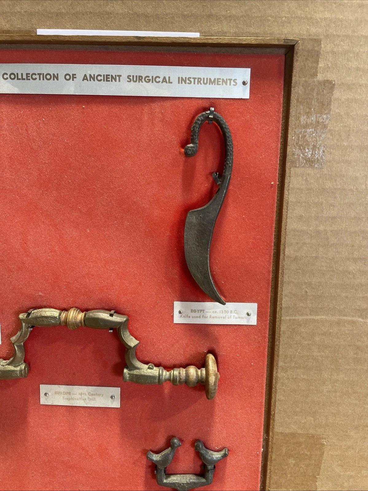Garamycin Collection of Ancient Surgical Instruments Reproduction