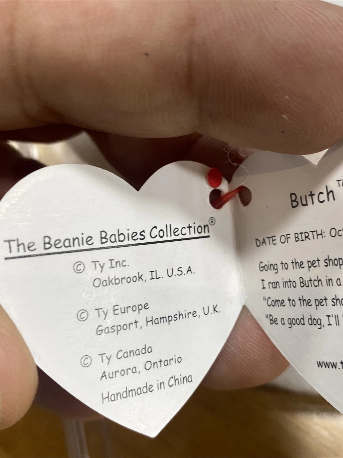ty beanie baby butch D.O.B.1998 *ERRORS*RETIRED*RARE*