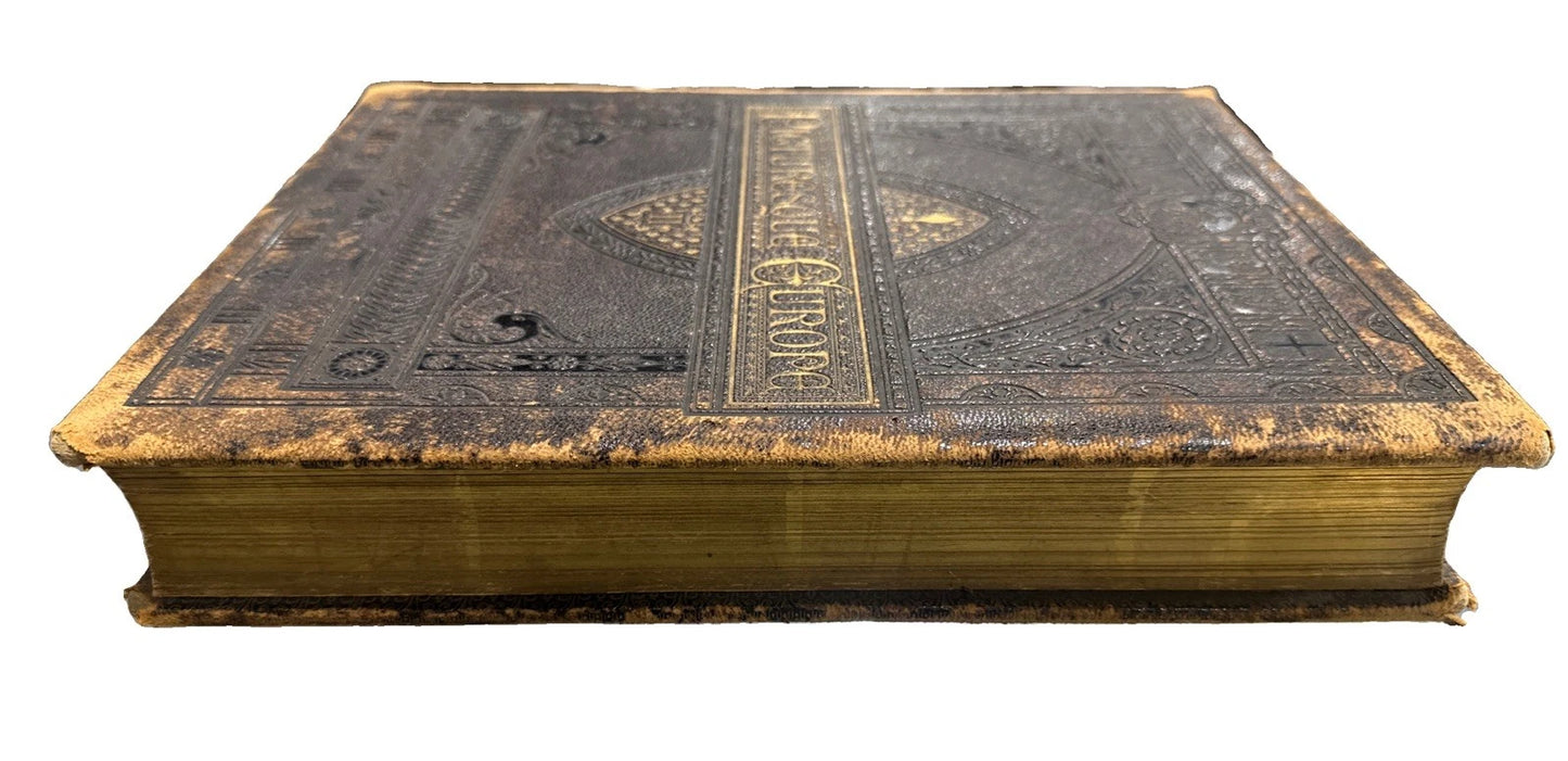 Picturesque Europe leather cover 1878 vol. 2