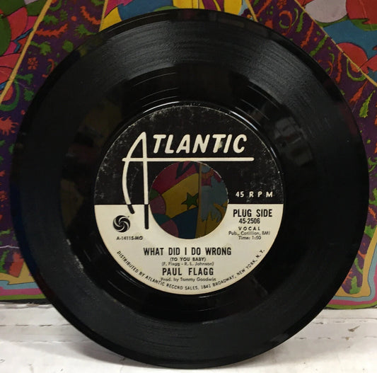 Paul Flagg What Did I Do Wrong Promo 7” Single 45-2506