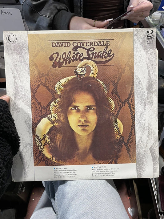 Lp David Coverdale -Whitesnakes/Northwinds VSOP LP 118 2 Record Set