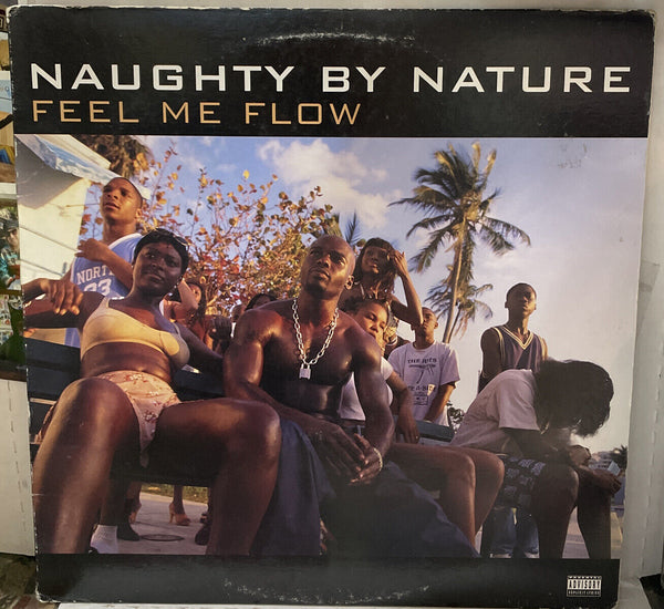 Naughty By Nature Feel Me Flow/Hang Out And Hustle 12” Single TB682