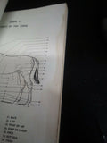 Vintage 1971 Horseman's Handbook - CA STATE HORSEMAN'S ASSOCIATION
