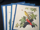 Vintage “Birds Of Our Land” 9 Dismantled Calendar Prints By Roger Torey Peterson