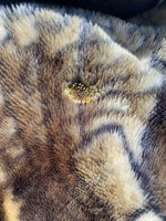 Tiger King Joe Exotic Fleece Animal Vintage Blanket & Starter Pack