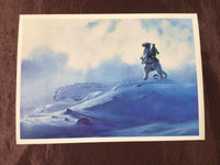 Vintage - Topps Star Wars The Empire Strikes Back 5” x 7” Photo Card #19