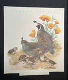 Vintage “Birds Of Our Land” 9 Dismantled Calendar Prints By Roger Torey Peterson
