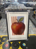 Vtg RARE Original Apple Computer “An American Dream”Poster in Protective Frame