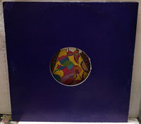 Imagination In And Out Of Love 12” UK Import Record RBL202