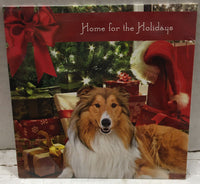 Home For The Holidays A Collection Of Songs Sealed CD