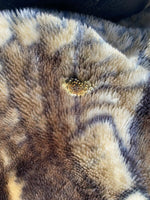 Tiger King Joe Exotic Fleece Animal Vintage Blanket & Starter Pack